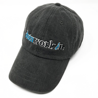 Hat Dunworkin Classic Logo - dunworkin 