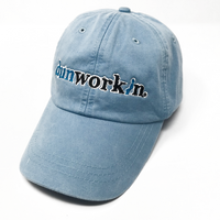 Hat Dunworkin Classic Logo - dunworkin 