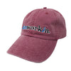 Hat Dunworkin Classic Logo